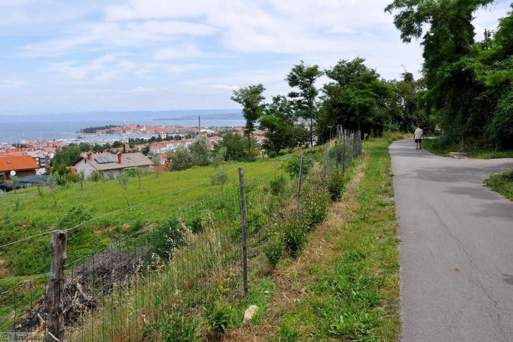 Apartment Izolanka / Great Location / Best Sea And City View Esterno foto